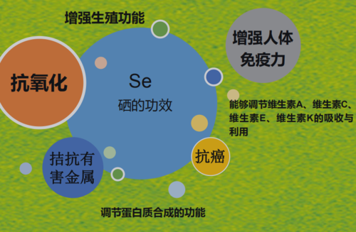 补硒作用对疾病作用