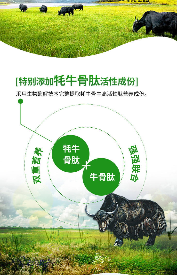 骨质增生能补钙吗(仅靠补钙就能治愈骨质增生吗)-硒宝网