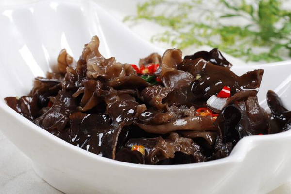 吃什么食物可以补铁