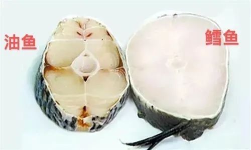 最补锌的10种食物