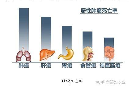 得了癌症可以补硒吗