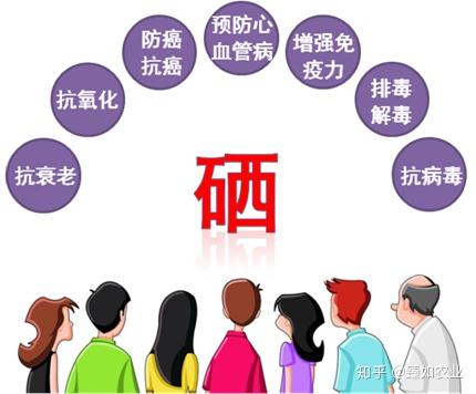 得了癌症可以补硒吗
