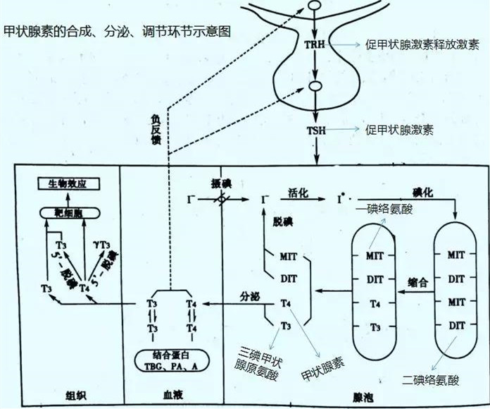 upfile