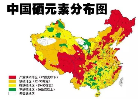 补硒可以增加食欲嘛