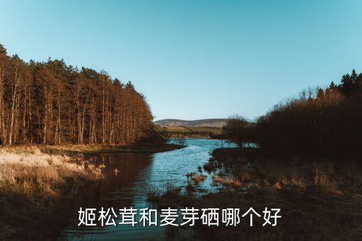 姬松茸和麦芽硒哪个好