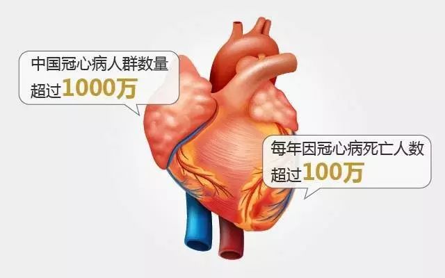 补硒能预防哪些疾?。ú刮梢栽し滥男┘膊。?硒宝网
