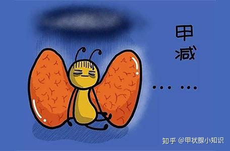 甲状腺不好能补硒吗
