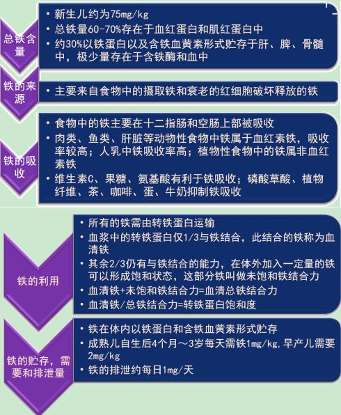 九个月宝宝吃啥补钙(宝宝吃补钙的多久之后能有效果)-硒宝网