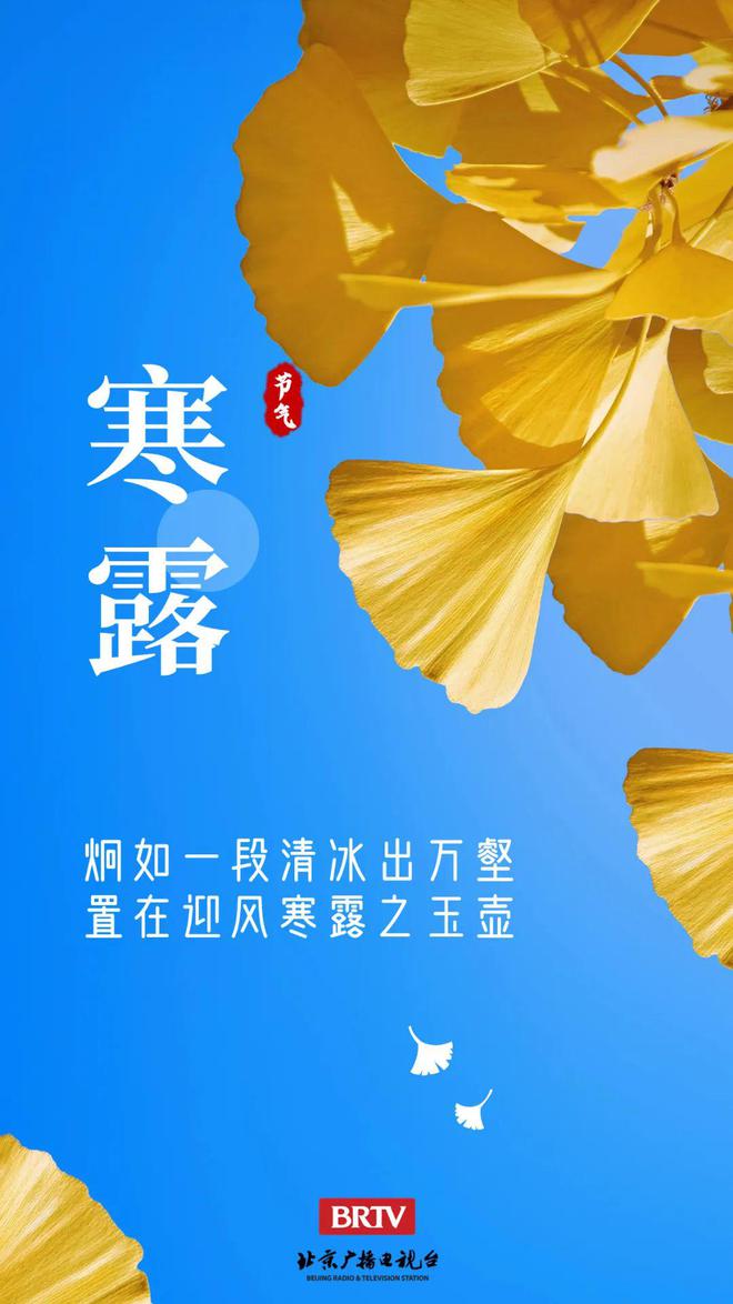 补血补铁的药有哪些(补血药补铁有副作用吗)-硒宝网