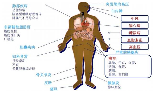 什么食材补钙