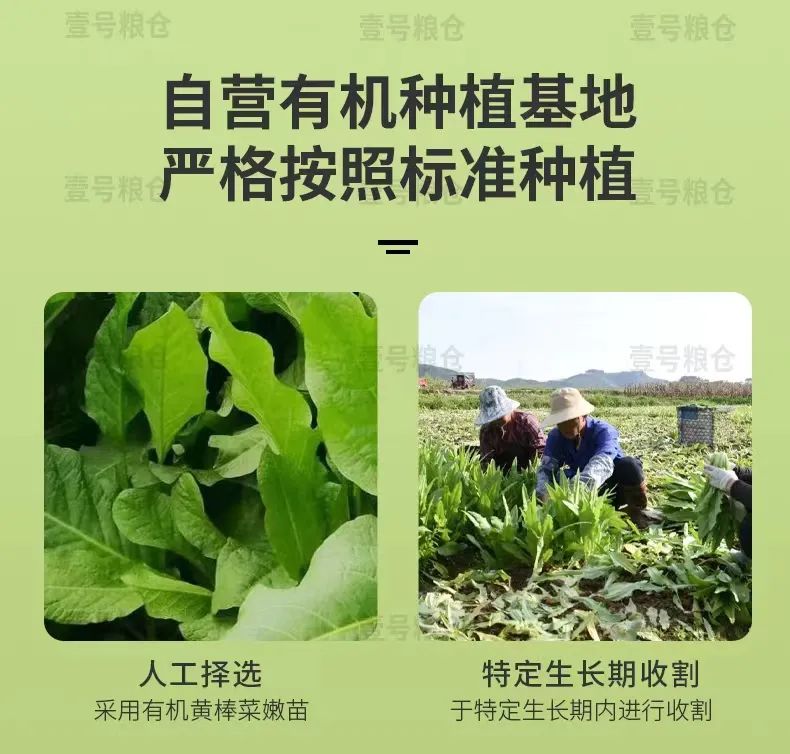贫血可以补蛋白硒吗
