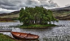 小孩子查微量元素需要空腹吗(查微量元素小孩空腹吗)-硒宝网