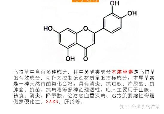 补硒食物芦笋能吃吗