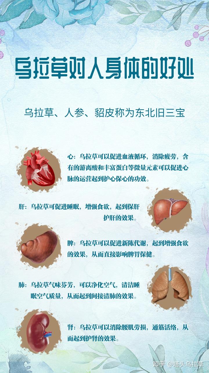 补硒食物芦笋能吃吗