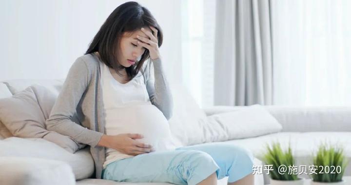 孕妇补铁必吃食物