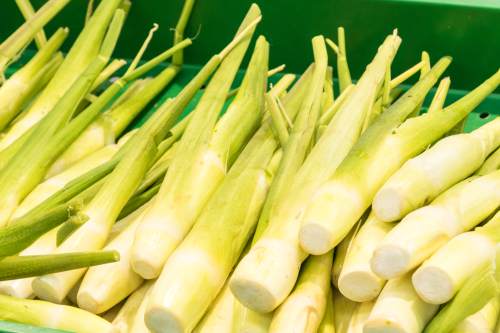 补铁最快的食物有哪些(食物补铁有效吗)-硒宝网