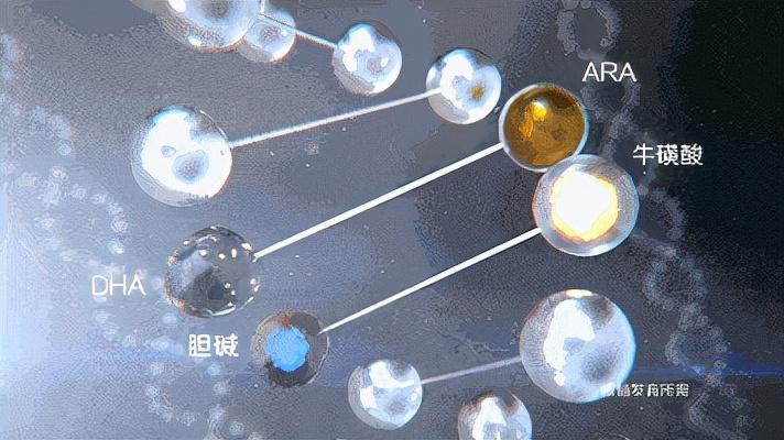 抽筋补钙