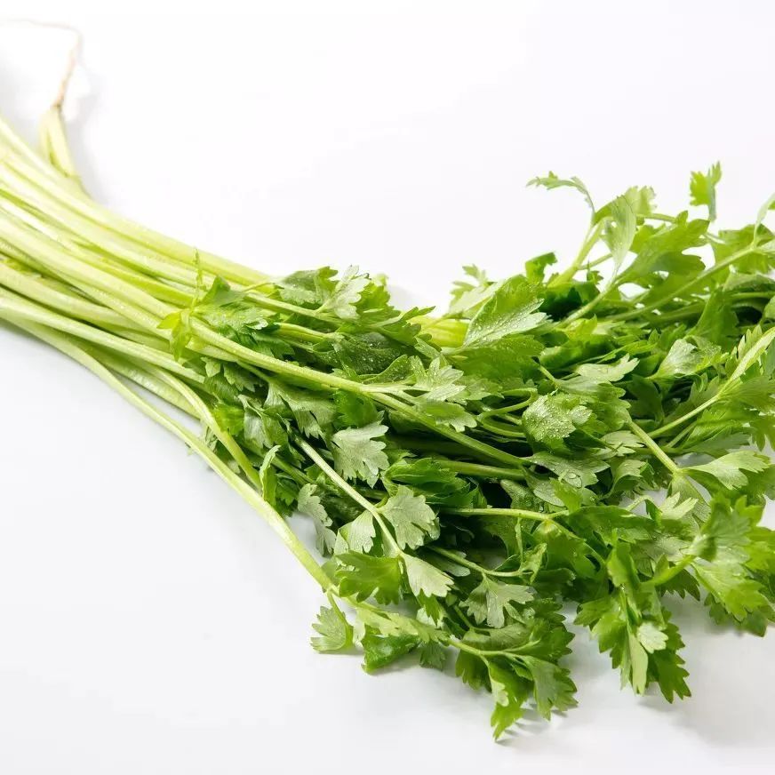 补钙的食物有哪些菜(菜食物补钙有什么好处)-硒宝网