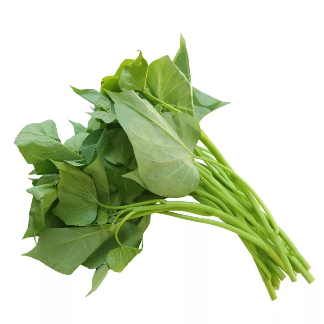 补钙的食物有哪些菜(菜食物补钙有什么好处)-硒宝网