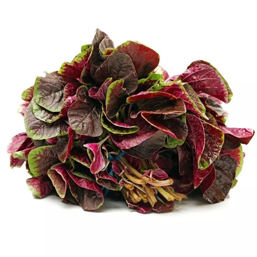 补钙的食物有哪些菜(菜食物补钙有什么好处)-硒宝网