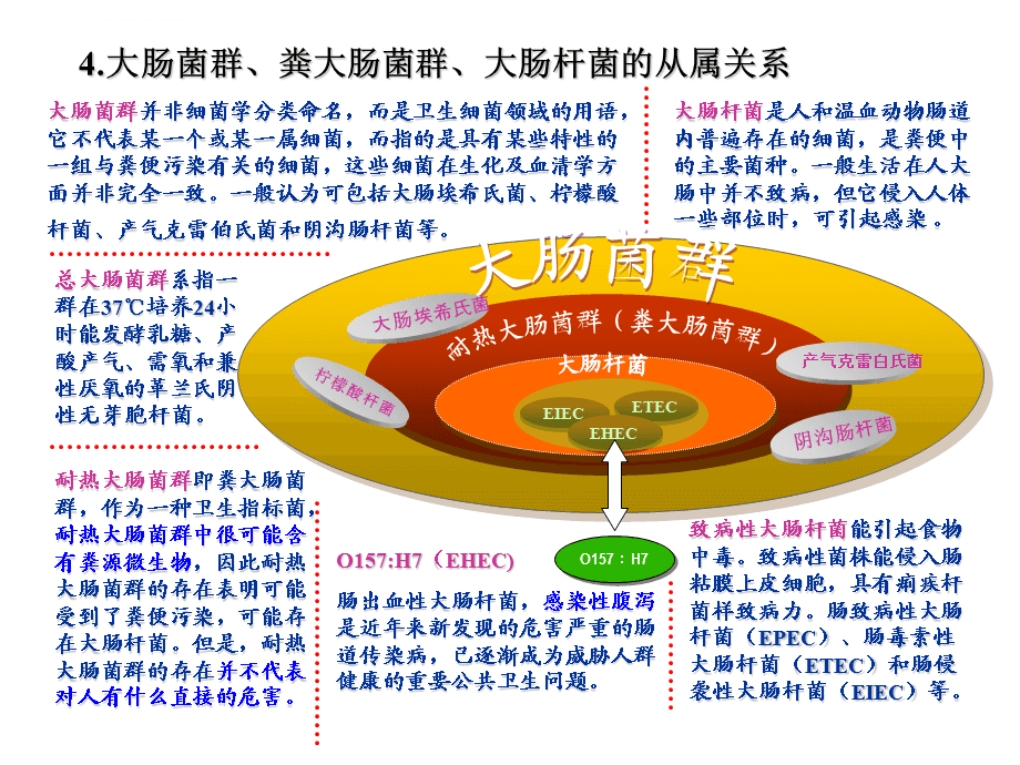 犊牛补硒饮用喝多少