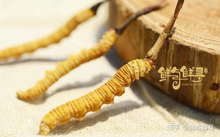 没病的人可以补硒吗(不缺硒的人可以吃药物硒吗)-硒宝网