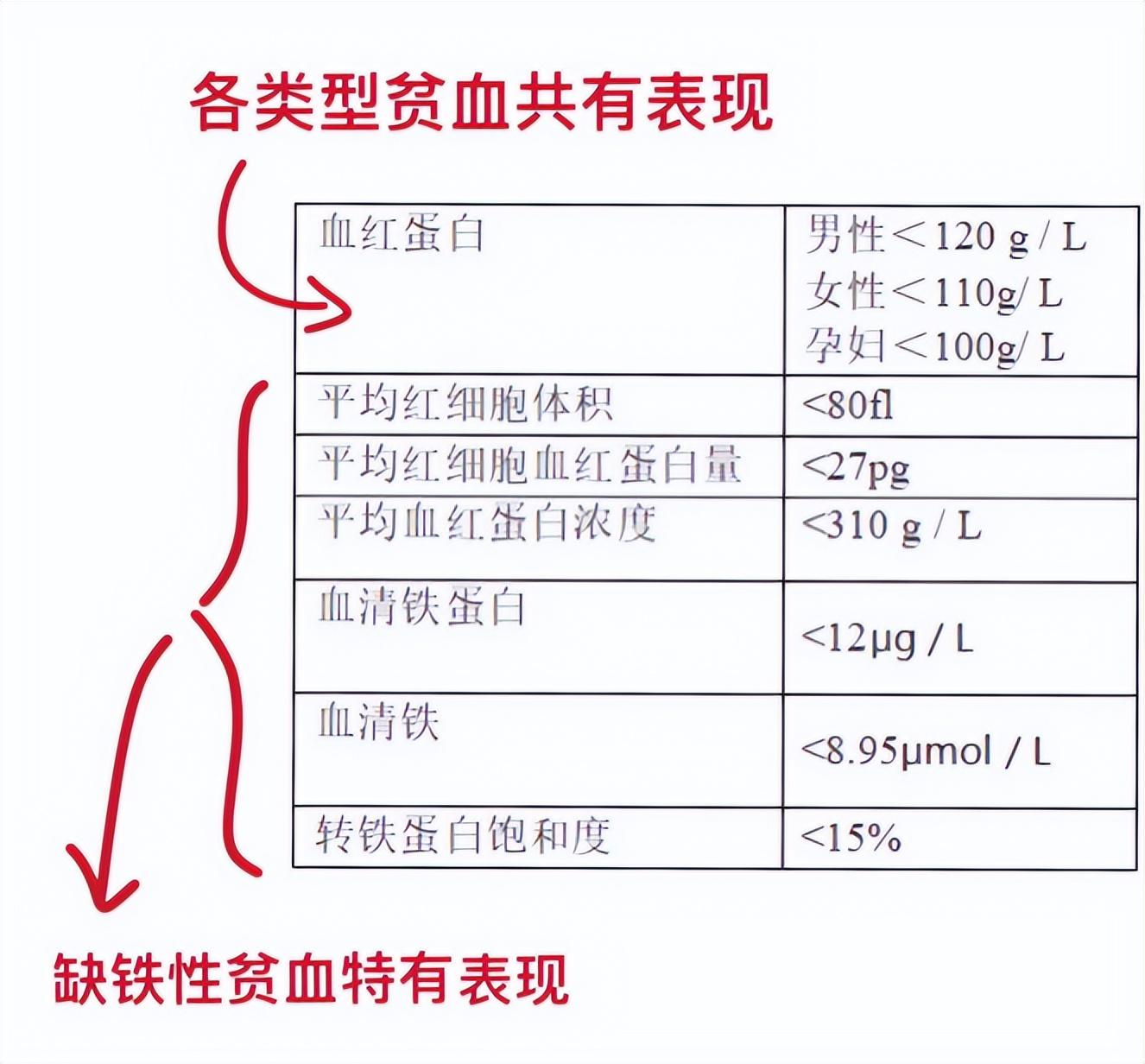 吃什么药补铁