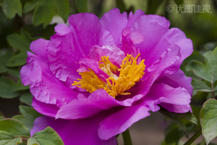 补硒属于广告违禁词