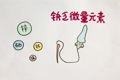 出生小猪补硒的好处