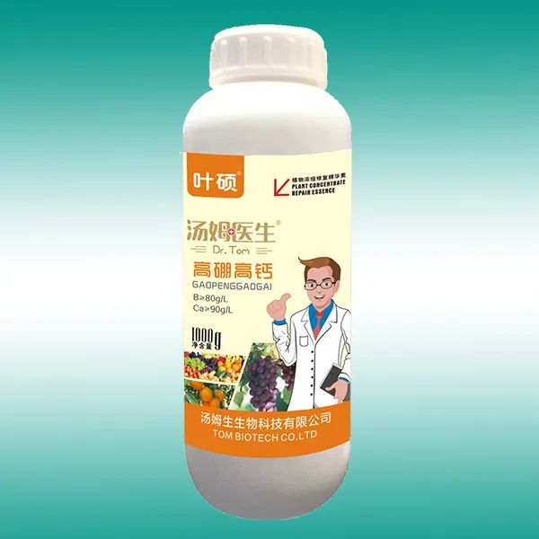 怎样快速补钙
