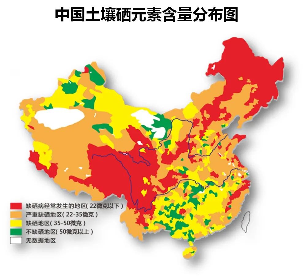 为什么要给身体补硒