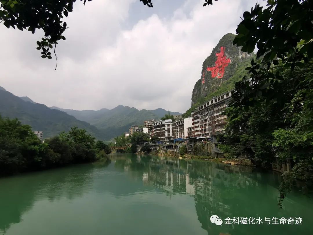 韩国补硒保健怎样吃