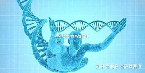 钙铁锌硒到底补什么