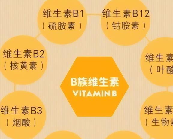 补铁效果好的药