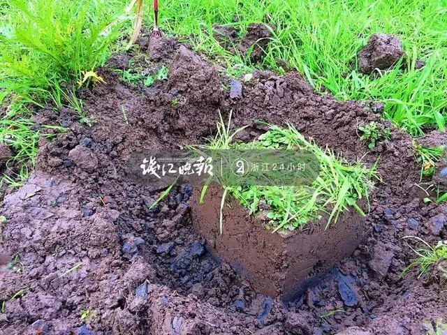 土地缺硒可以怎么补
