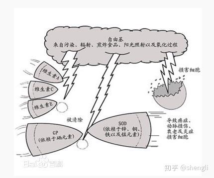 硒是中药可以怎么补(药用补硒)-硒宝网