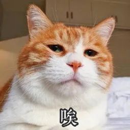 缺乏微量元素怎么补