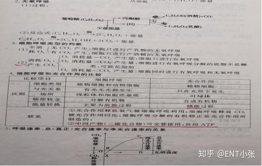 微量元素包括哪些