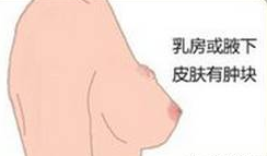 14岁能补麦芽硒吗