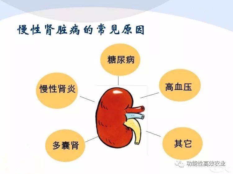 肾脏病人可以补硒吗