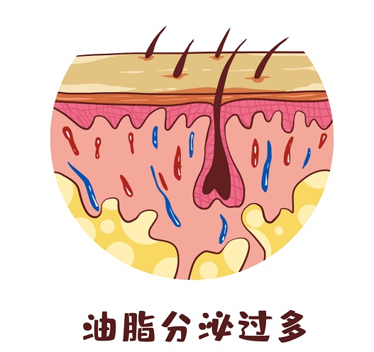 补铁的