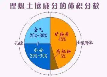 如何科学补钙