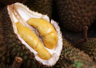 榴莲一次吃多少合适？榴莲一天最多吃多少？