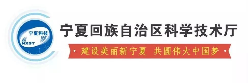 精神补钙