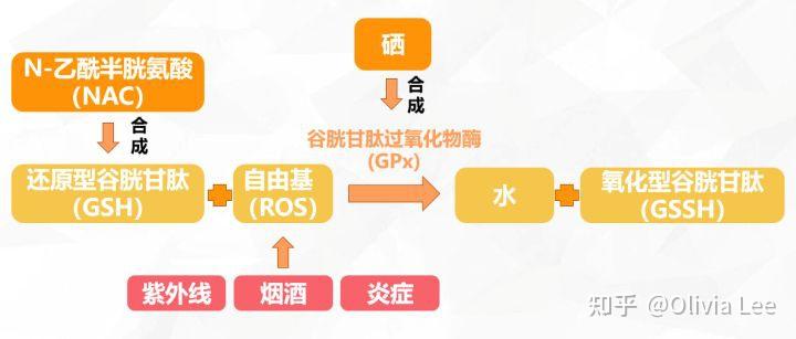 桥本甲状腺炎补硒吗