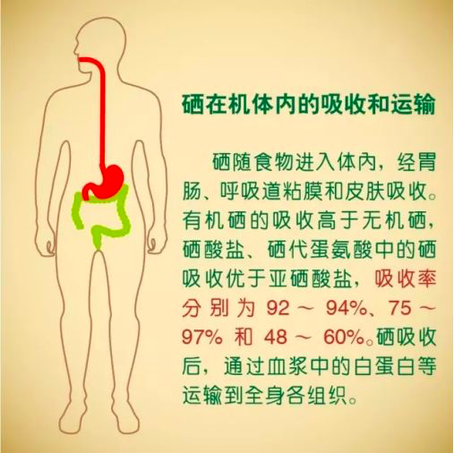 每天少量补硒可以吗