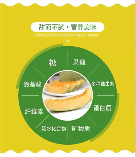 富含锌元素的食物(富含锌食物排行榜)-硒宝网