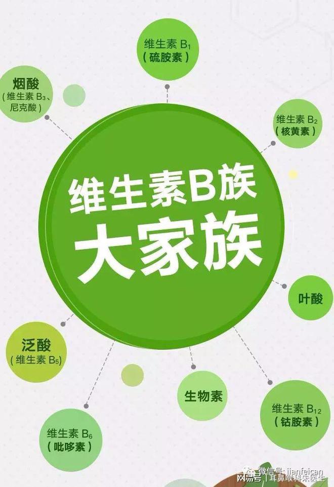 富含锌元素的食物(富含锌食物排行榜)-硒宝网