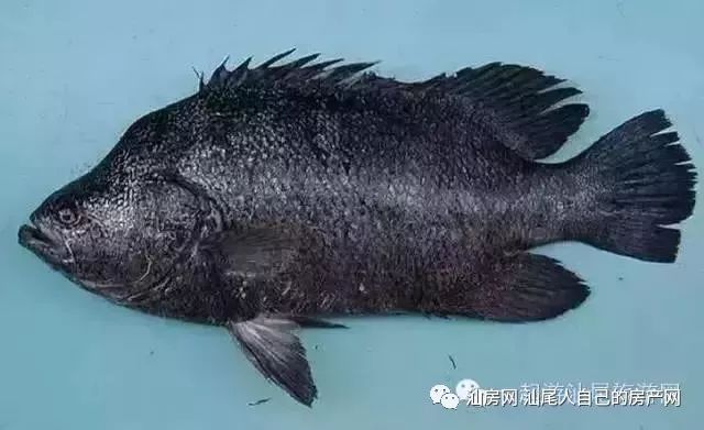 平时补点锌硒的坏处