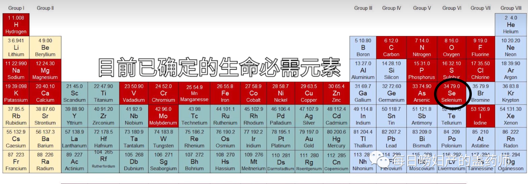 补硒的医保类有哪些